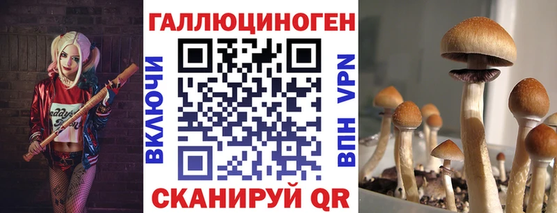 Псилоцибиновые грибы Cubensis  Купить  Ворсма 