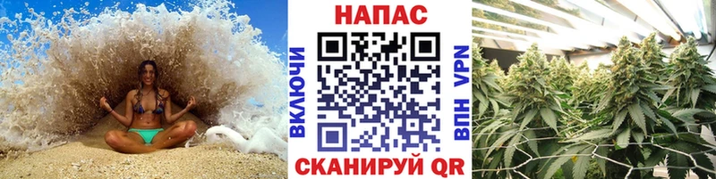 Бошки Шишки конопля  Купить закладки  Ворсма 
